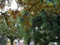 /album/alrededores-de-nuestra-casa/la-foto-6-jpg/